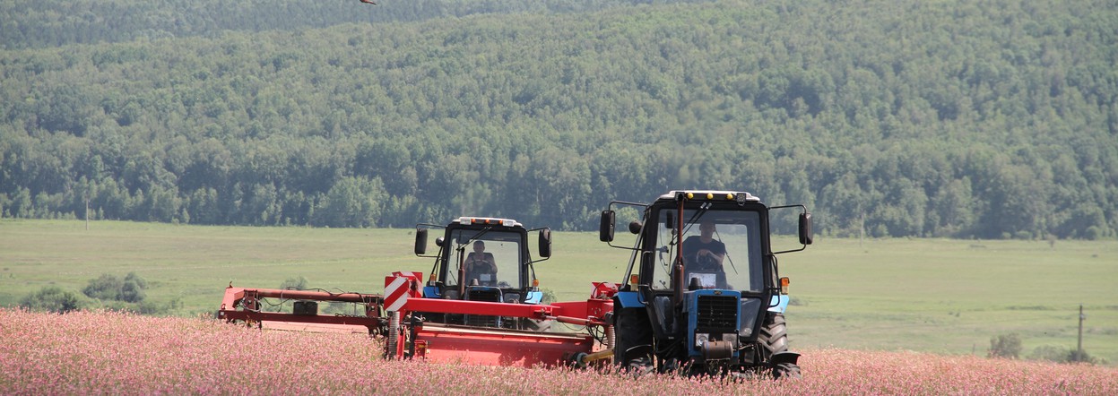 Сельхозкооперативы Красноярского края получили на технику и оборудование более 126 миллионов господдержки