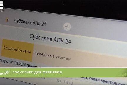 Цифровой сервис для аграриев — какие плюсы отмечают пользователи сервиса «Субсидия АПК 24» и что говорят специалисты?