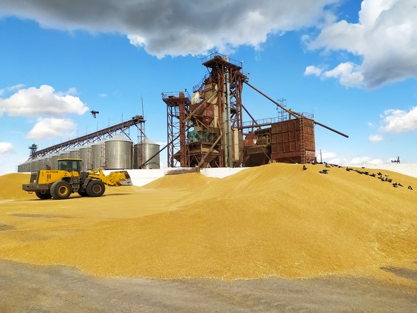 Минсельхоз РФ: Красноярский край входит в число сельскохозяйственных регионов-лидеров